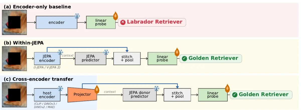 Three operating modes: encoder-only baseline, within-JEPA, and cross-encoder transfer with a frozen JEPA predictor