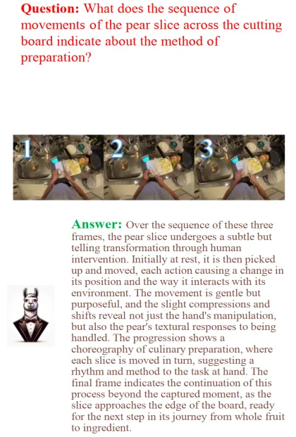 OSCaR object state captioning illustration